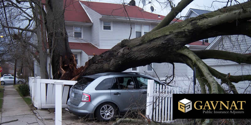 Everything You Need To Know About Storm Damage Insurance Claims